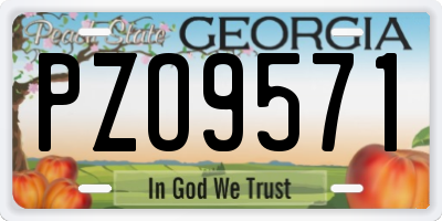 GA license plate PZO9571