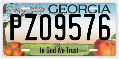 GA license plate PZO9576