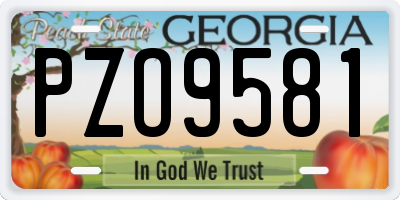 GA license plate PZO9581