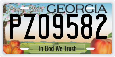 GA license plate PZO9582