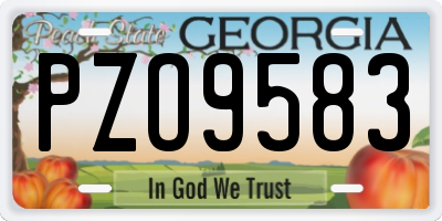 GA license plate PZO9583