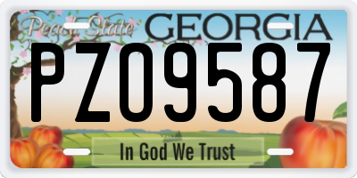 GA license plate PZO9587