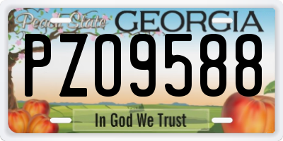 GA license plate PZO9588