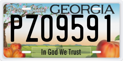 GA license plate PZO9591