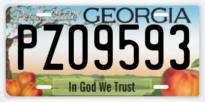 GA license plate PZO9593