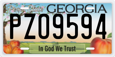 GA license plate PZO9594