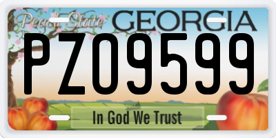 GA license plate PZO9599