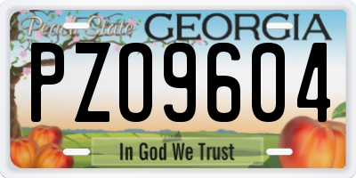 GA license plate PZO9604