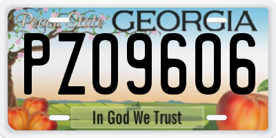 GA license plate PZO9606