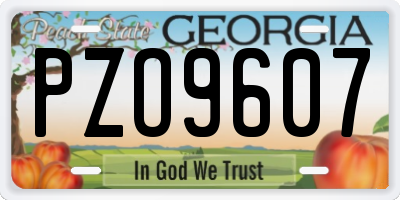 GA license plate PZO9607