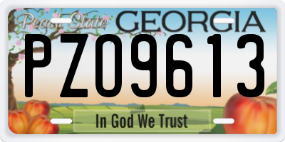 GA license plate PZO9613