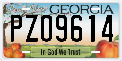 GA license plate PZO9614