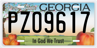 GA license plate PZO9617