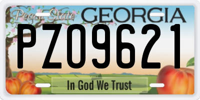 GA license plate PZO9621