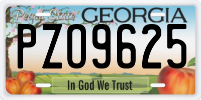 GA license plate PZO9625