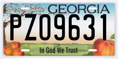 GA license plate PZO9631