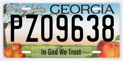 GA license plate PZO9638