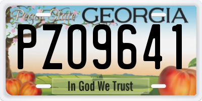 GA license plate PZO9641