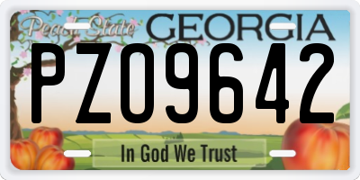 GA license plate PZO9642