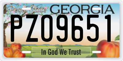 GA license plate PZO9651