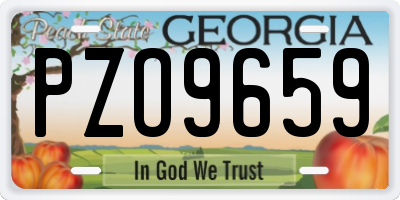 GA license plate PZO9659