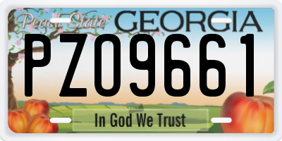 GA license plate PZO9661