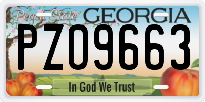 GA license plate PZO9663