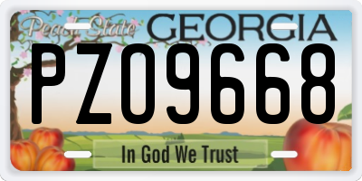 GA license plate PZO9668