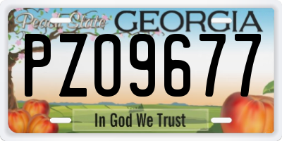 GA license plate PZO9677