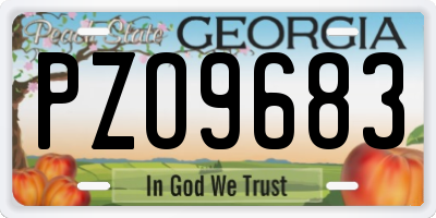 GA license plate PZO9683