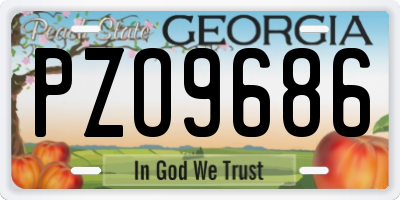 GA license plate PZO9686