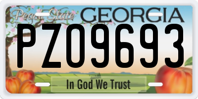 GA license plate PZO9693