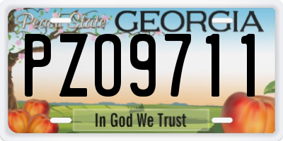 GA license plate PZO9711