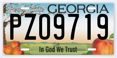 GA license plate PZO9719