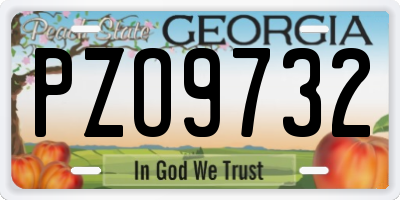 GA license plate PZO9732