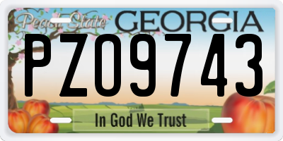 GA license plate PZO9743