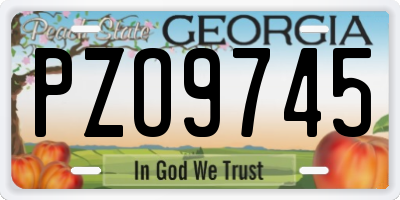 GA license plate PZO9745