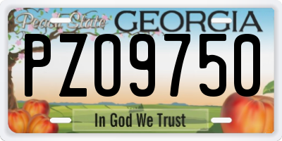 GA license plate PZO9750