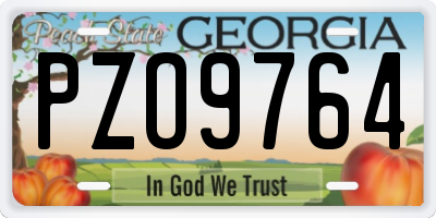 GA license plate PZO9764