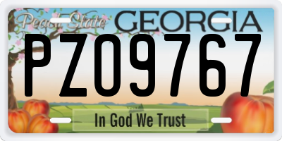 GA license plate PZO9767