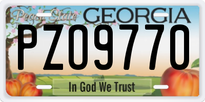 GA license plate PZO9770