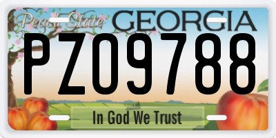 GA license plate PZO9788