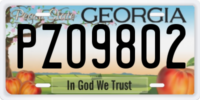 GA license plate PZO9802