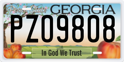GA license plate PZO9808