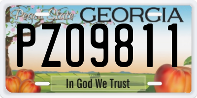 GA license plate PZO9811