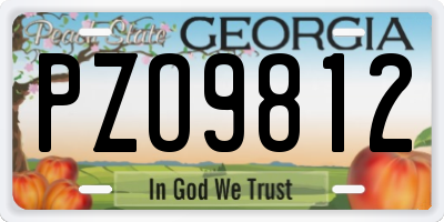 GA license plate PZO9812