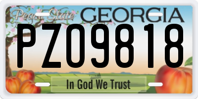 GA license plate PZO9818