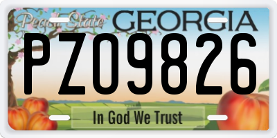 GA license plate PZO9826
