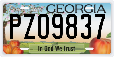 GA license plate PZO9837