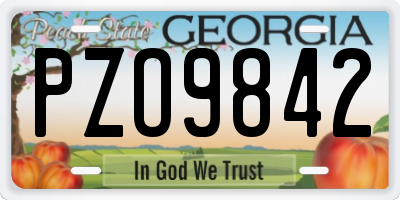 GA license plate PZO9842